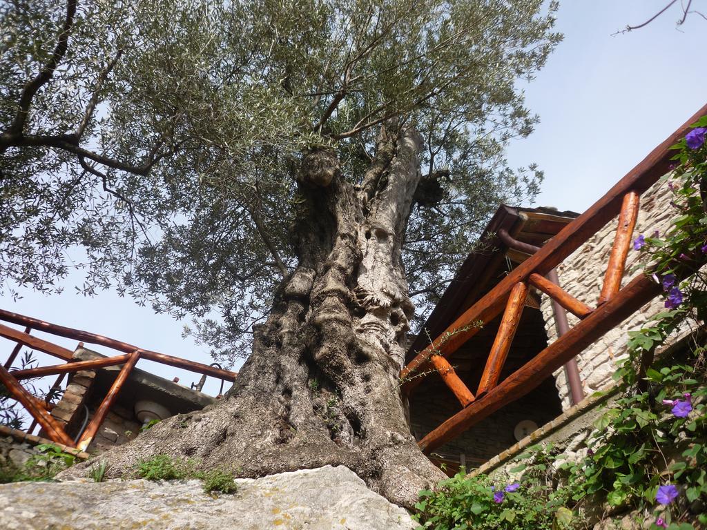 San Pantaleone Rocca Del Vento Bed & Breakfast エクステリア 写真