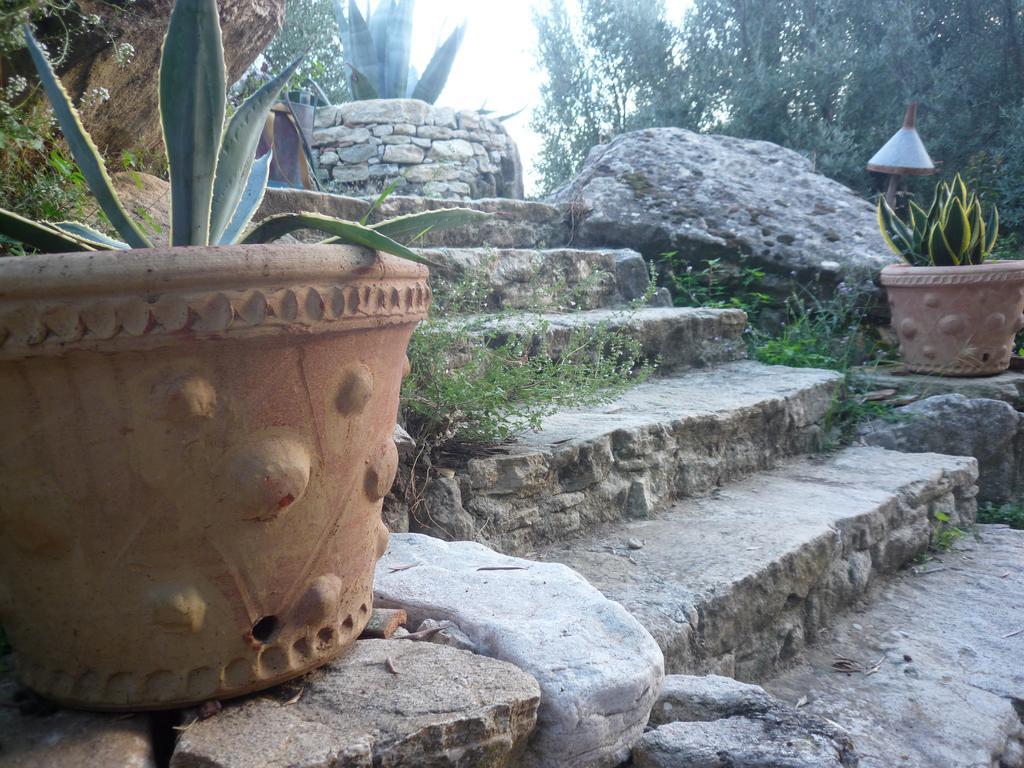 San Pantaleone Rocca Del Vento Bed & Breakfast エクステリア 写真