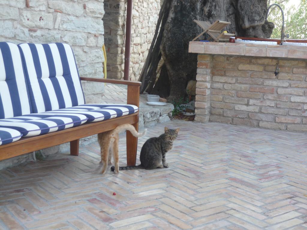 San Pantaleone Rocca Del Vento Bed & Breakfast エクステリア 写真